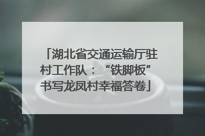 湖北省交通运输厅驻村工作队：“铁脚板”书写龙凤村幸福答卷