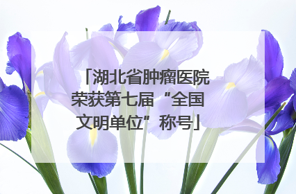 湖北省肿瘤医院荣获第七届“全国文明单位”称号