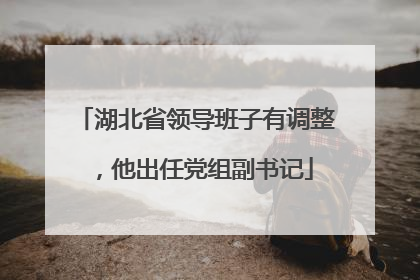 湖北省领导班子有调整，他出任党组副书记
