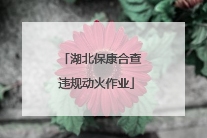 湖北保康合查违规动火作业