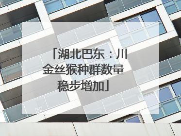 湖北巴东：川金丝猴种群数量稳步增加