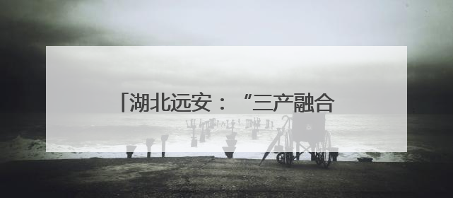 湖北远安：“三产融合”激活乡村振兴新动能
