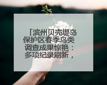 滨州贝壳堤岛保护区春季鸟类调查成果惊艳：多项纪录刷新，生态保护成效显著