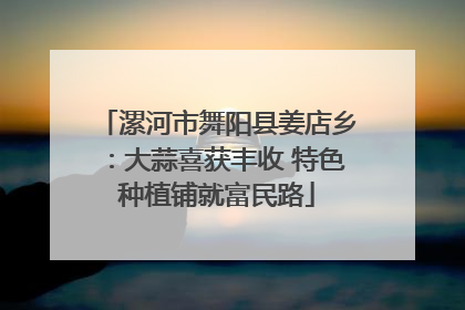 漯河市舞阳县姜店乡：大蒜喜获丰收 特色种植铺就富民路