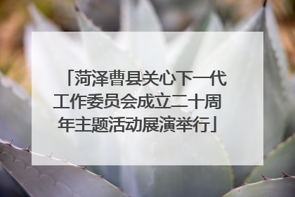 菏泽曹县关心下一代工作委员会成立二十周年主题活动展演举行