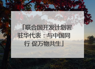 联合国开发计划署驻华代表：与中国同行 促万物共生