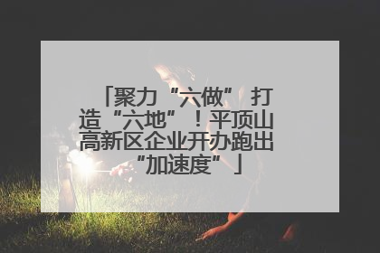 聚力“六做” 打造“六地”！平顶山高新区企业开办跑出“加速度”