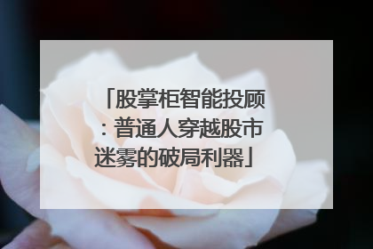 股掌柜智能投顾：普通人穿越股市迷雾的破局利器