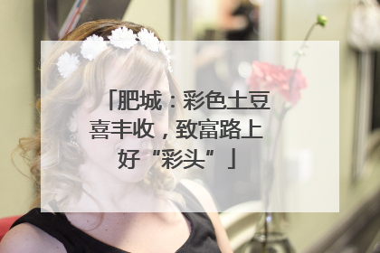 肥城：彩色土豆喜丰收，致富路上好“彩头”