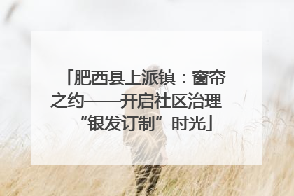 肥西县上派镇：窗帘之约——开启社区治理“银发订制”时光