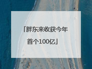 胖东来收获今年首个100亿