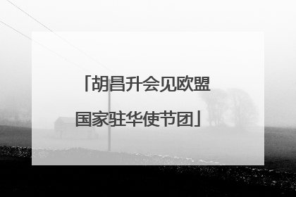 胡昌升会见欧盟国家驻华使节团