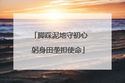 脚踩泥地守初心 躬身田垄担使命
