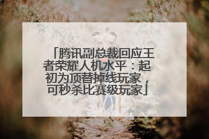 腾讯副总裁回应王者荣耀人机水平：起初为顶替掉线玩家，可秒杀比赛级玩家