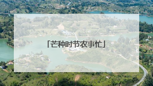 芒种时节农事忙
