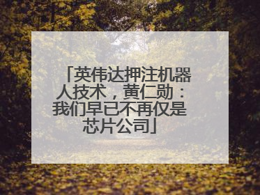 英伟达押注机器人技术，黄仁勋：我们早已不再仅是芯片公司