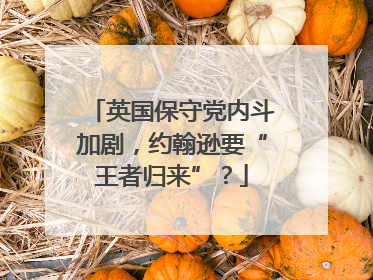 英国保守党内斗加剧，约翰逊要“王者归来”？