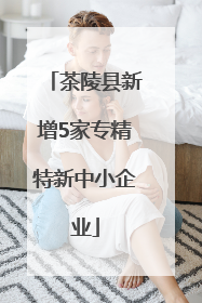 茶陵县新增5家专精特新中小企业