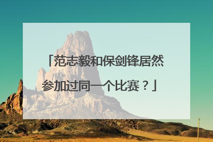 范志毅和保剑锋居然参加过同一个比赛？