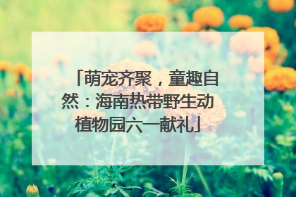 萌宠齐聚，童趣自然：海南热带野生动植物园六一献礼