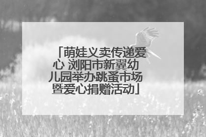 萌娃义卖传递爱心 浏阳市新翼幼儿园举办跳蚤市场暨爱心捐赠活动