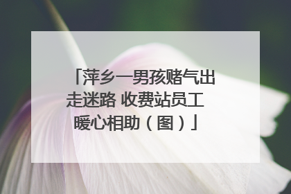 萍乡一男孩赌气出走迷路 收费站员工暖心相助（图）