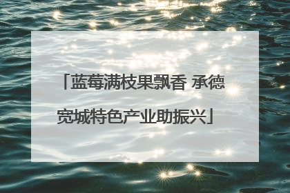 蓝莓满枝果飘香 承德宽城特色产业助振兴