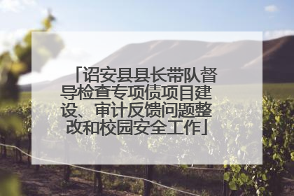 诏安县县长带队督导检查专项债项目建设、审计反馈问题整改和校园安全工作