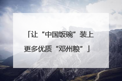 让“中国饭碗”装上更多优质“邓州粮”