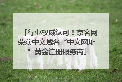 行业权威认可！京客网荣获中文域名“中文网址”黄金注册服务商