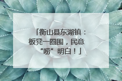 衡山县东湖镇：板凳一圈围，民意“唠”明白！