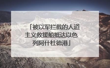 被以军拦截的人道主义救援船抵达以色列阿什杜德港
