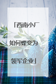 西南小厂如何蝶变为领军企业