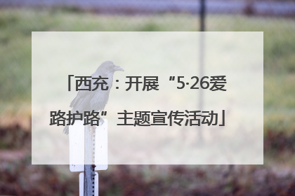 西充：开展“5·26爱路护路”主题宣传活动