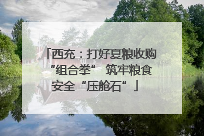 西充：打好夏粮收购“组合拳” 筑牢粮食安全“压舱石”