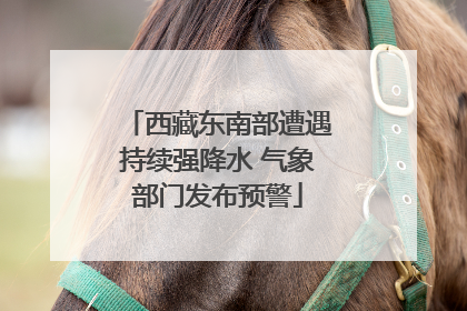 西藏东南部遭遇持续强降水 气象部门发布预警