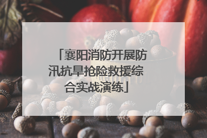 襄阳消防开展防汛抗旱抢险救援综合实战演练
