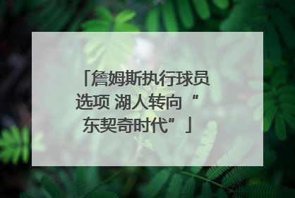詹姆斯执行球员选项 湖人转向“东契奇时代”