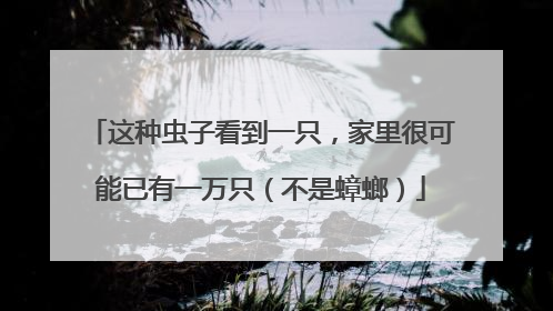 这种虫子看到一只，家里很可能已有一万只（不是蟑螂）