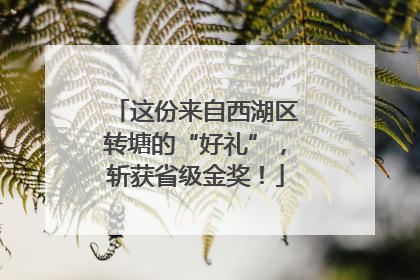 这份来自西湖区转塘的“好礼”，斩获省级金奖！