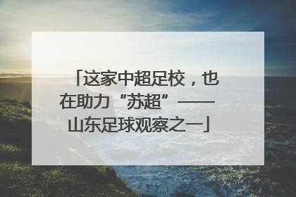 这家中超足校，也在助力“苏超”——山东足球观察之一