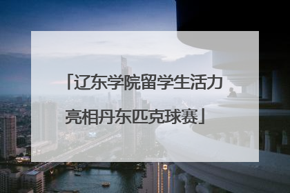 辽东学院留学生活力亮相丹东匹克球赛