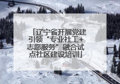 辽宁省开展党建引领“专业社工+志愿服务”融合试点社区建设培训