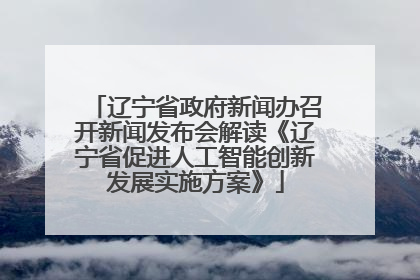 辽宁省政府新闻办召开新闻发布会解读《辽宁省促进人工智能创新发展实施方案》