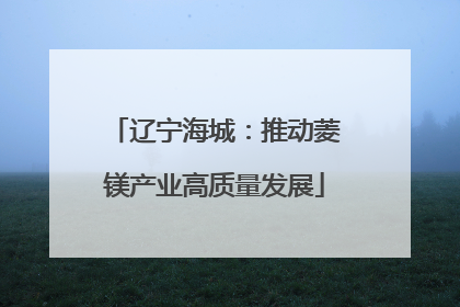 辽宁海城：推动菱镁产业高质量发展