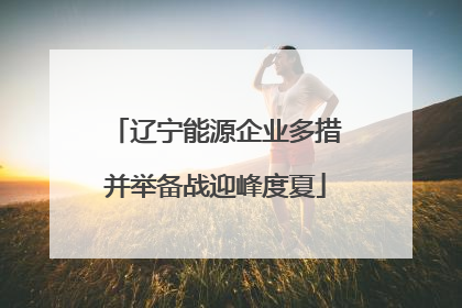 辽宁能源企业多措并举备战迎峰度夏