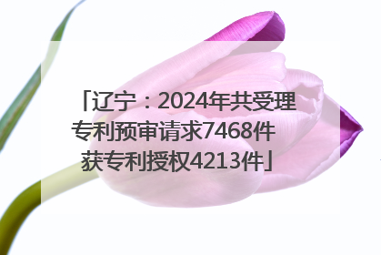 辽宁：2024年共受理专利预审请求7468件 获专利授权4213件