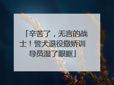 辛苦了，无言的战士！警犬退役撒娇训导员湿了眼眶