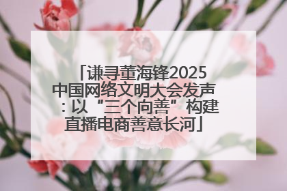 谦寻董海锋2025中国网络文明大会发声：以“三个向善”构建直播电商善意长河