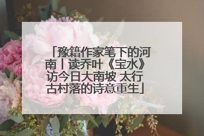 豫籍作家笔下的河南丨读乔叶《宝水》访今日大南坡 太行古村落的诗意重生